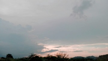 1217303