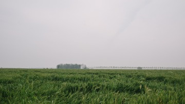 F13E786A-EF8C-45D3-A6B4-396EDE05323D/L0/001