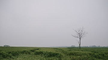 29C303C8-53B9-424F-BBDC-7DD0C4E29BD9/L0/001