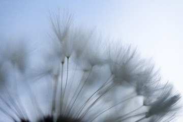 2016-07-26 12.05.30 1