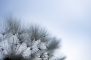 2016-07-27 11.54.43 1
