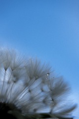 2016-07-28 11.08.01 1
