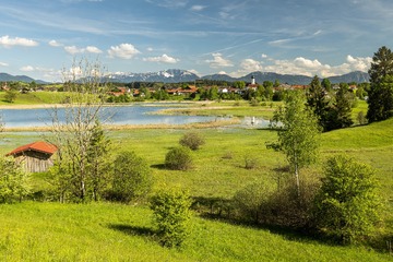 2016-07-31 12.05.02 1