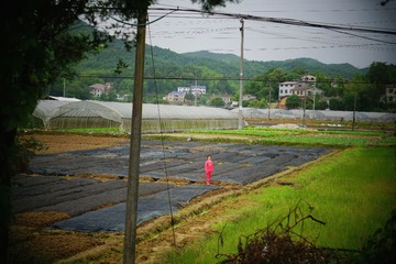 2016-05-15 06.39.07 1