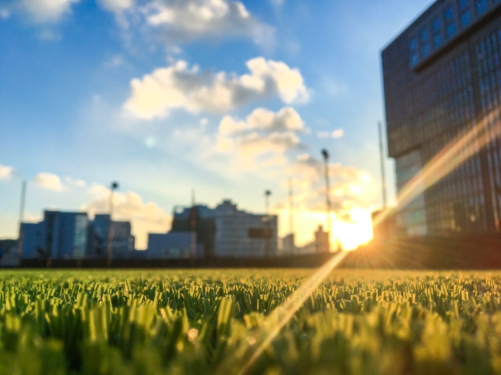 为何不趁着日落去享受最后一丝阳光