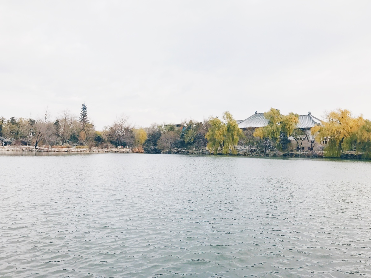 王梦婷 城市与环境学院 2016级 北京印象 燕园初雪