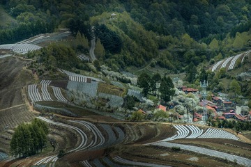 _DSC8961