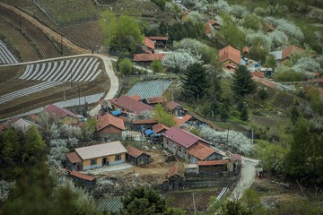 _DSC8984