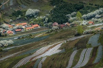 _DSC9022