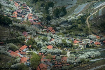 _DSC9025