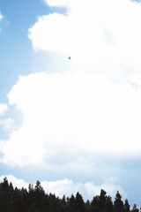78DEAF4D-1C1E-4302-8393-EA95F9A02BC5/L0/001