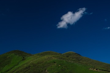 “DSC_9961”为智能对象-1