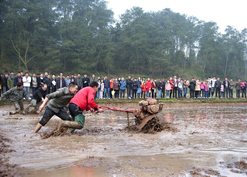 2015年农历2月2日,“龙抬头,打春牛”的习俗在连二村被演义成为了机耕接力赛。
