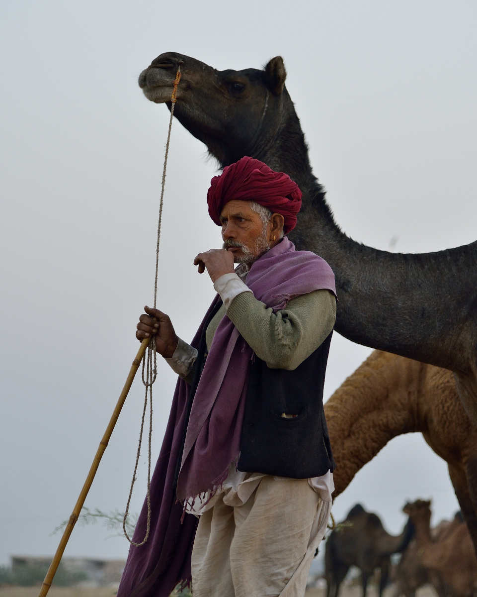 印度普什卡骆驼节集市上的人们
