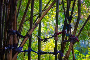 IMG_0529-3