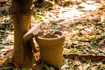 IMG_0538-7