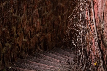 IMG_0618-6