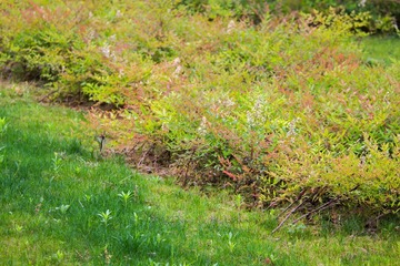IMG_0781-4