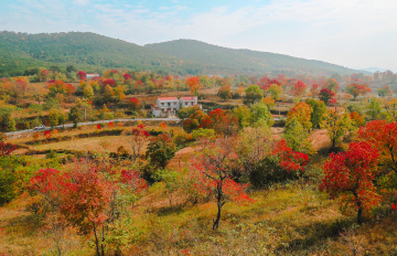 【湖北大悟采风习作】