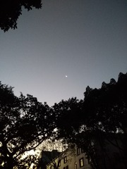 1696278