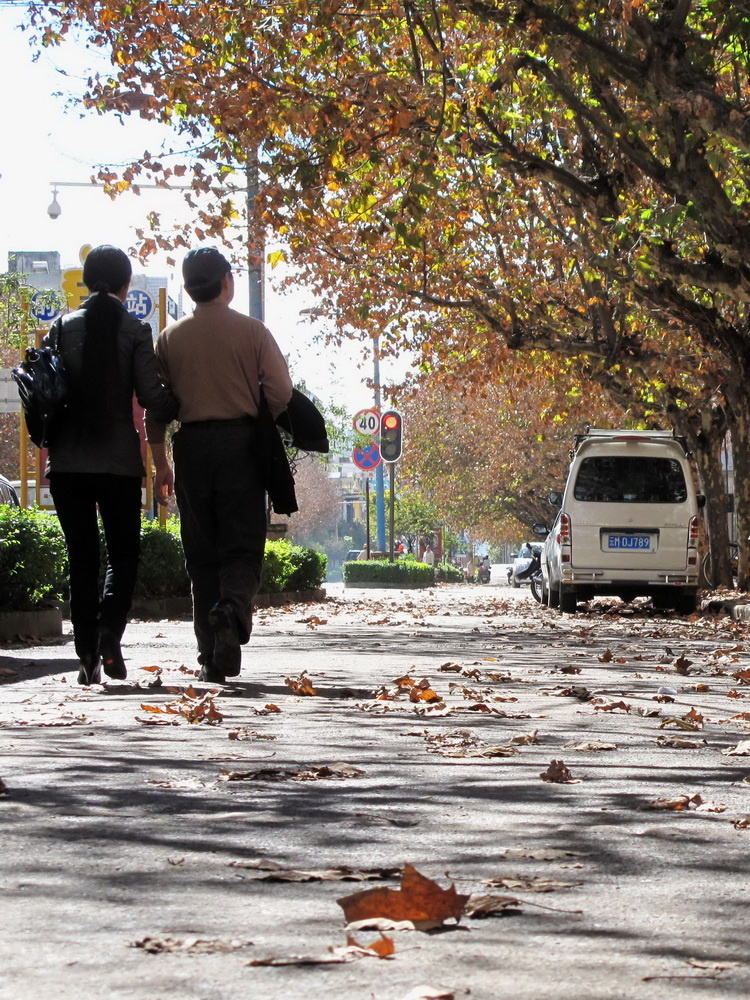 环境萧瑟,背影暖心.