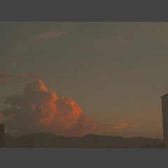 2526951