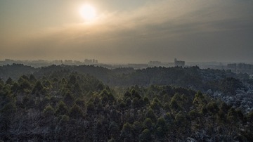 DJI_0626
