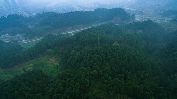 DJI_0587