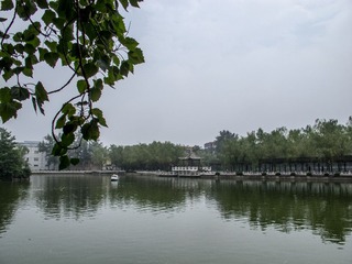 IMG_1989-1