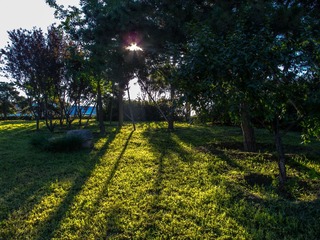 IMG_2289-1