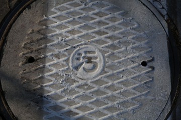 4Z8A6712