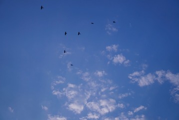 A9B4914C-49A3-4D07-8CF7-B926088F2833/L0/001