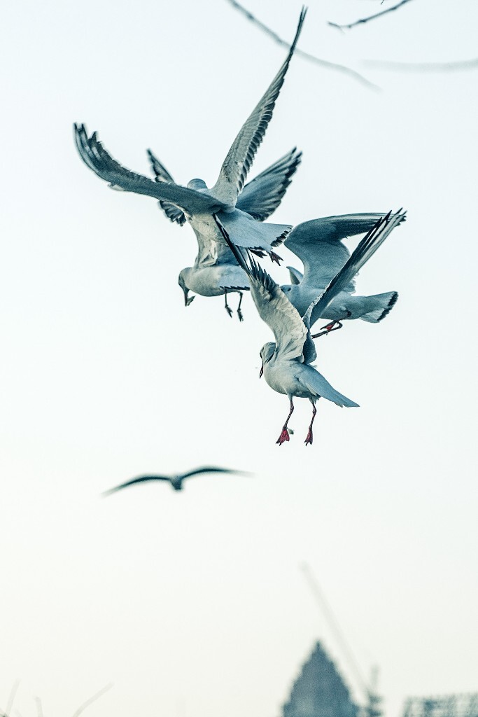 空中雕塑