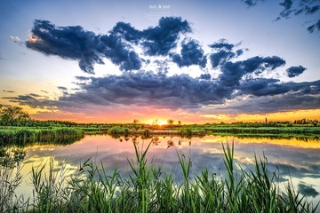 夕阳 惜阳