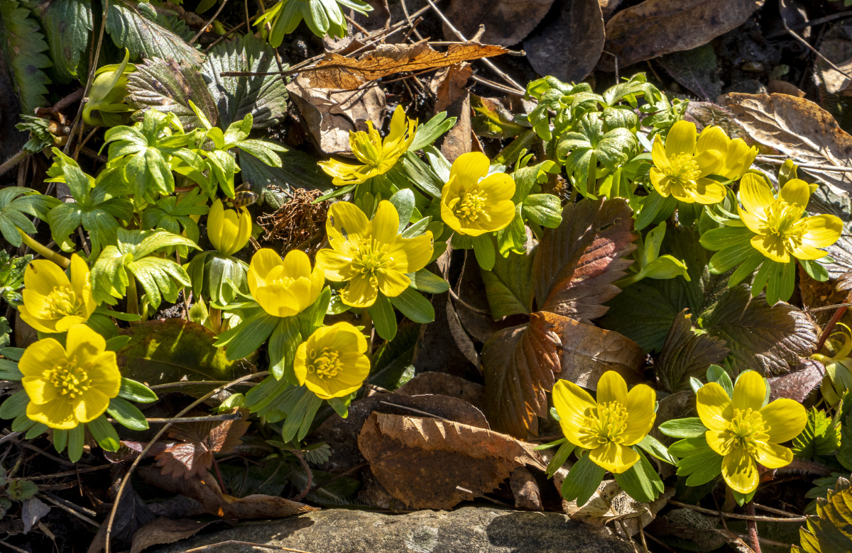 city·style - metrolinex - 图虫网 - 优质摄影师交流社区