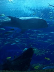 IMG_20150927_013809