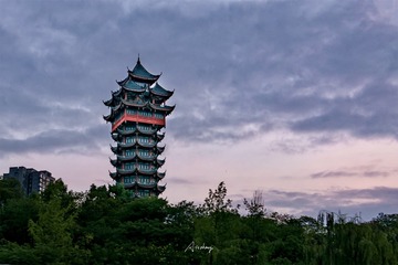 霞映九天楼