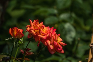 F575962C-300F-422C-B4D6-19CB17A91880/L0/001