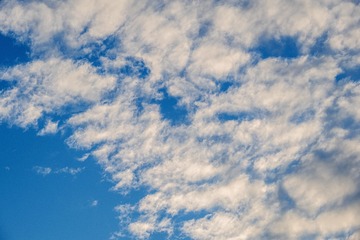 2F612B73-1FA1-4120-8E0E-90EF4725629C/L0/001