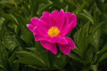 E79AD37B-FEEC-45FE-9DA7-D702E7103423/L0/001