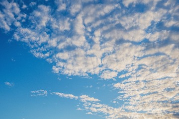 F897B724-067D-47F1-BE06-12AD73449217/L0/001