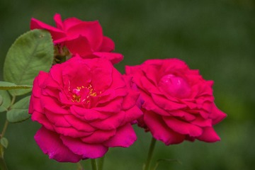 4C1EAD62-2C49-4140-928E-07613485EA38/L0/001