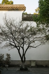 83005D8A-6A1B-4EC5-87F8-56DD1977B15E/L0/001