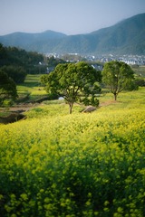 C52650A0-F539-447B-A2DB-4D103249D344/L0/001