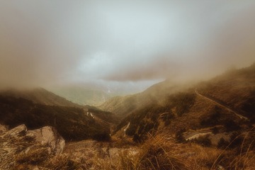 IMG_8425-1