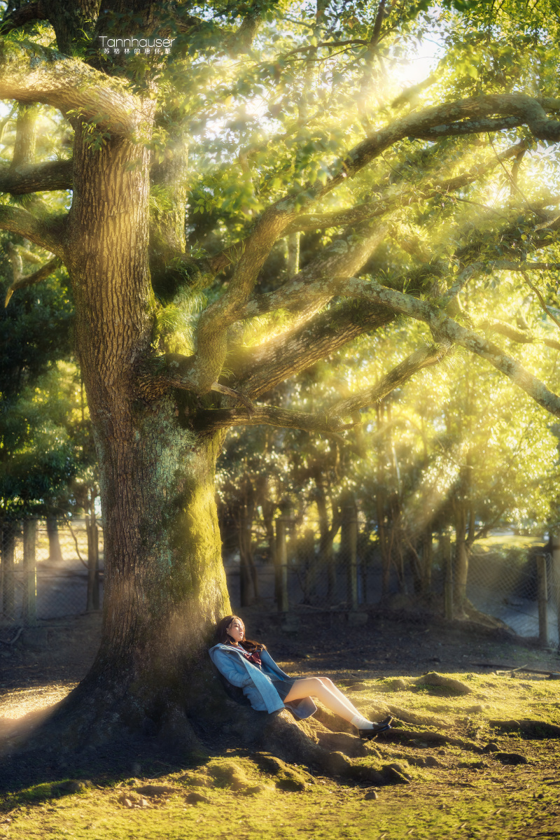 与你相遇的那刻奈良春天的模样你还记得吗并不是很刺眼的阳光照在你