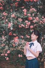 DSCF2764-编辑