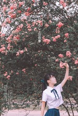 DSCF2787-编辑