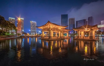 灯湖之夜