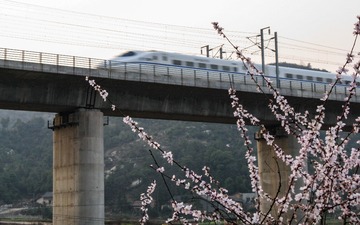 高速时代-11-2010-03-12-IMG_4952